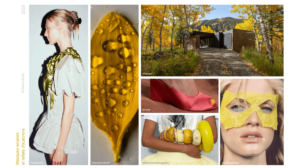 le jaune