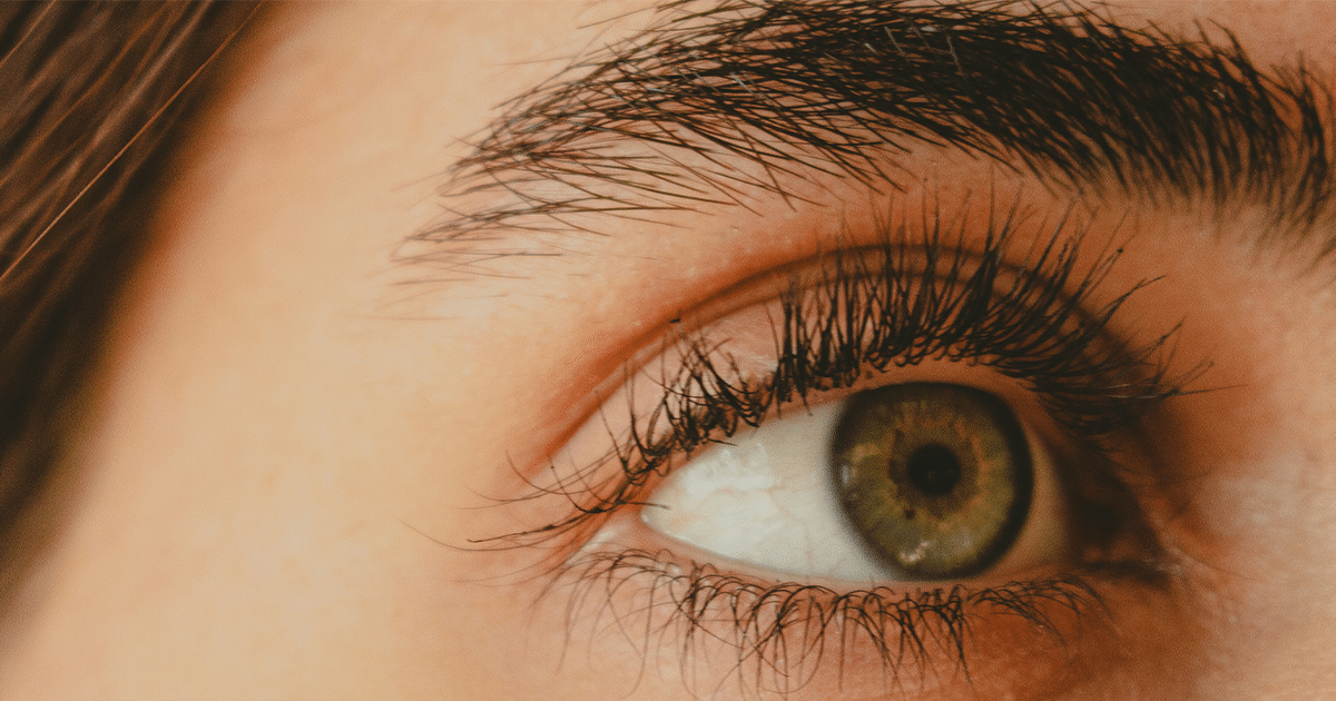 L'évolution fascinante des sourcils à travers les époques 