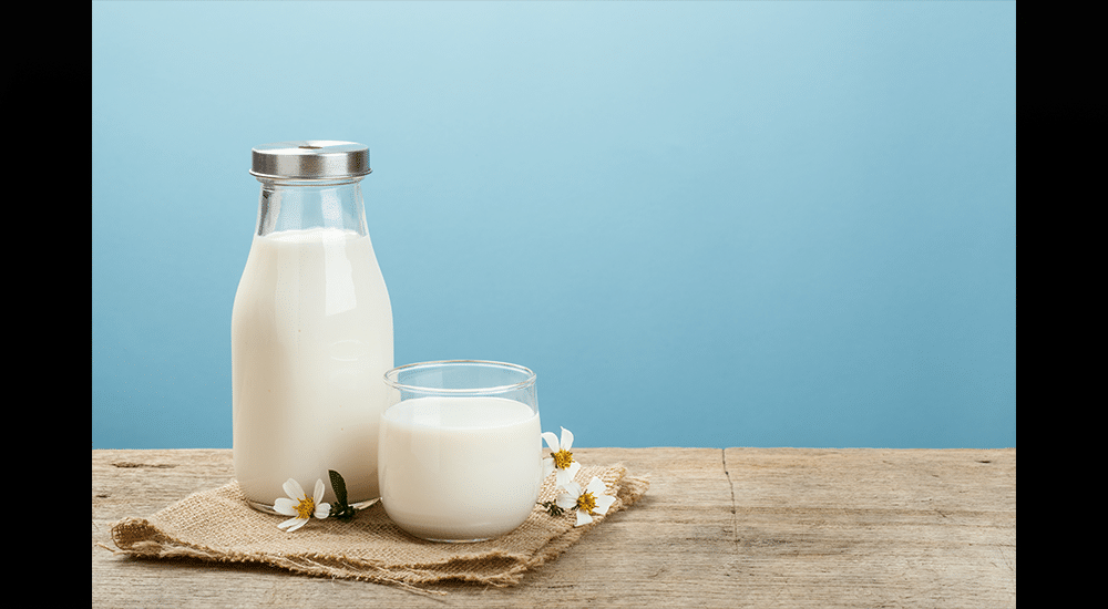 La fibre de lait, ce matériaux écologique et innovant 