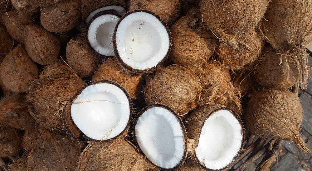 Découvrez ce matériaux écologique : la fibre de coco !